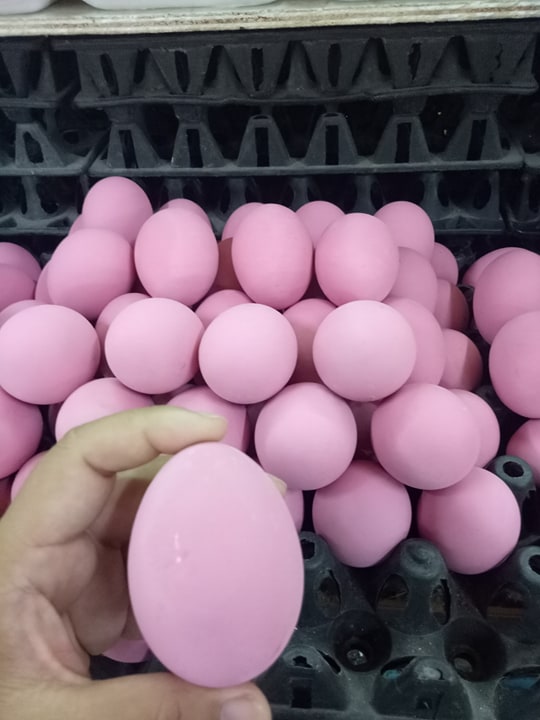 56757382_2186670518329466_4249835740998926336_n