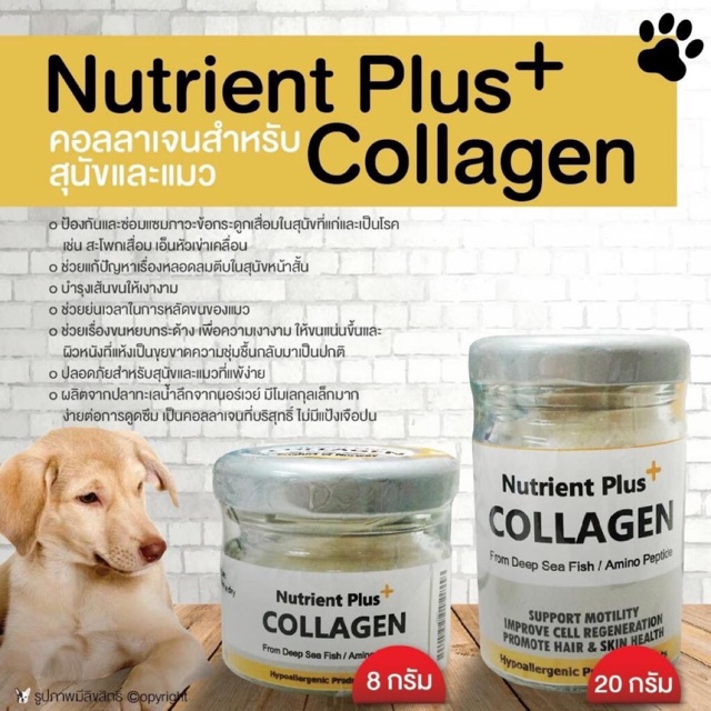 Nutrient-Plus-Collagen Nutrient Plus Collagen